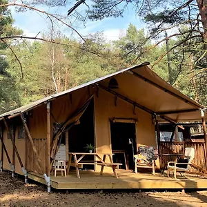 Camp Bursztynowy Danzig